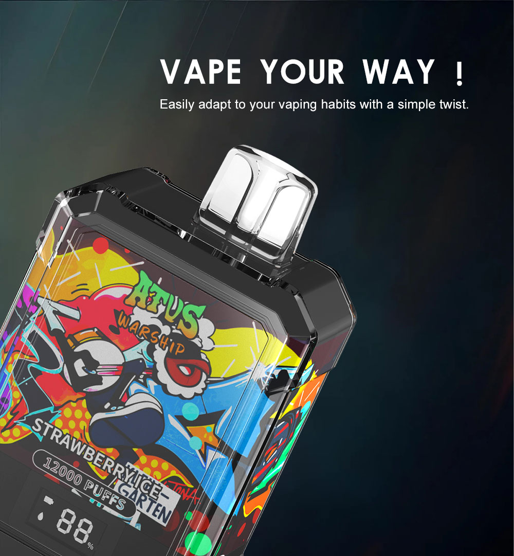 DE013A 12000 Puffs New York NY USA Disposable Vapes with LED display screen and adjustable airflow