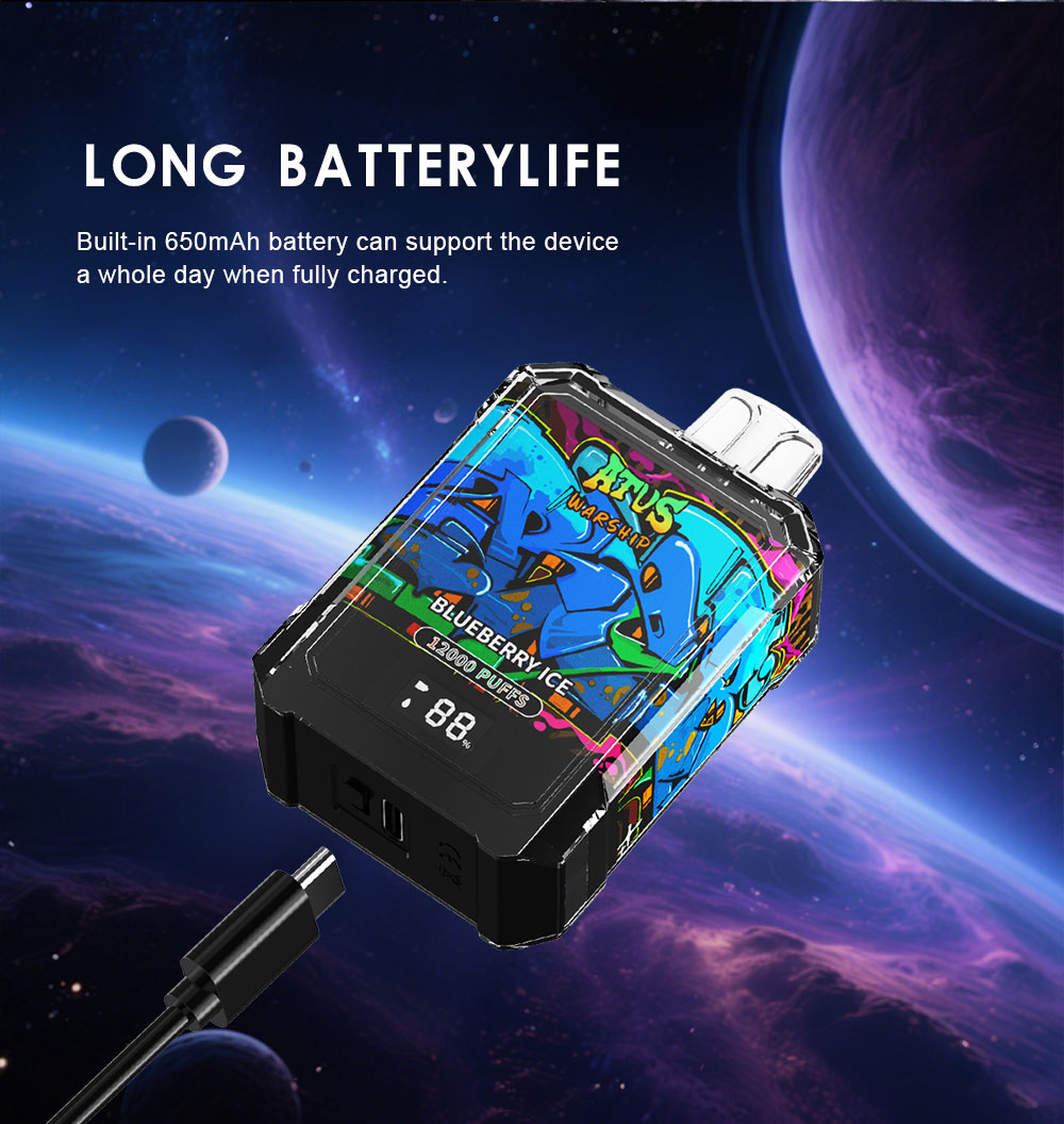 DE013A 12000 Puffs New York NY USA Disposable Vapes with LED display screen and adjustable airflow