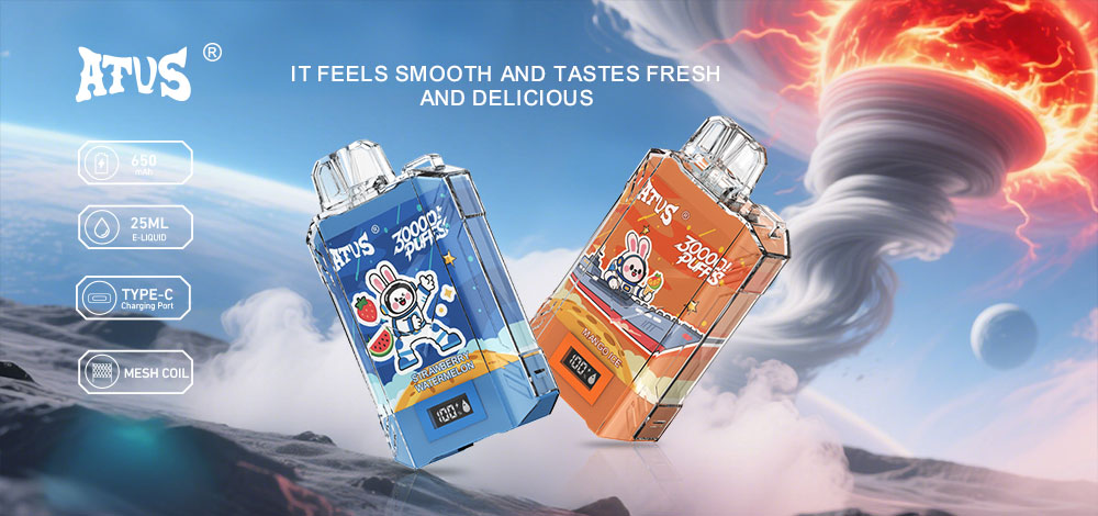 DE017 New York NY USA 30000 Puffs Disposable Vape with LED display screen and adjustable airflow rechargeable