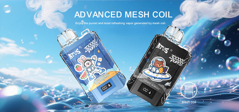 DE017 New York NY USA 30000 Puffs Disposable Vape with LED display screen and adjustable airflow rechargeable