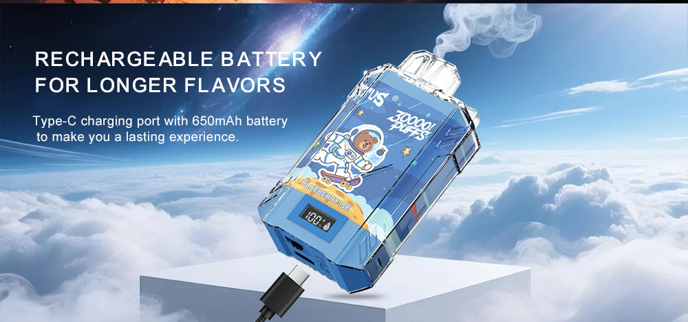 DE017 New York NY USA 30000 Puffs Disposable Vape with LED display screen and adjustable airflow rechargeable