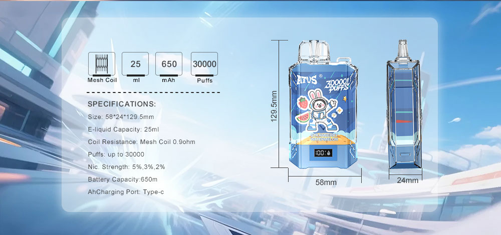 DE017 New York NY USA 30000 Puffs Disposable Vape with LED display screen and adjustable airflow rechargeable